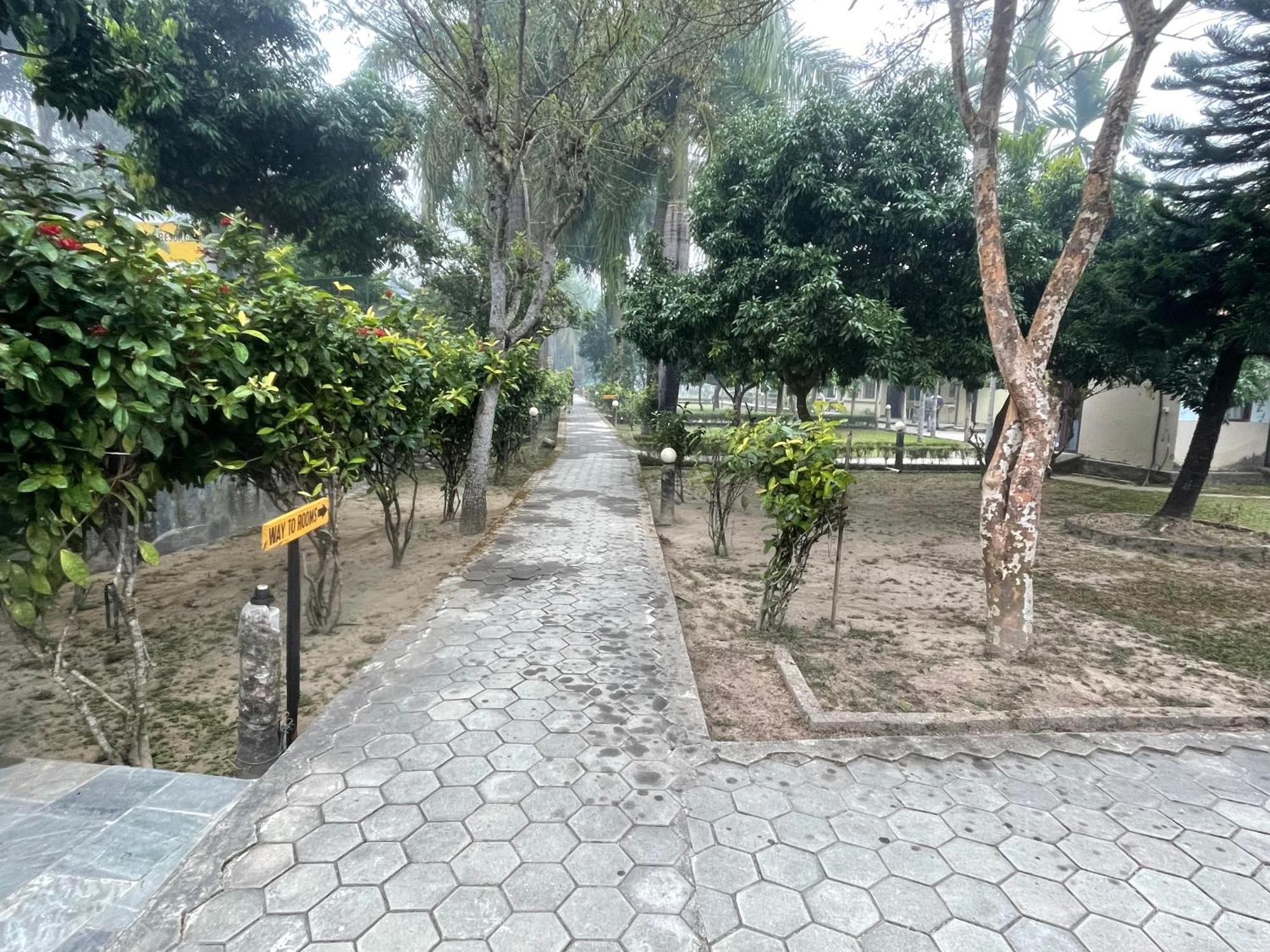 Chitwan Riverside Resort Sauraha Eksteriør billede
