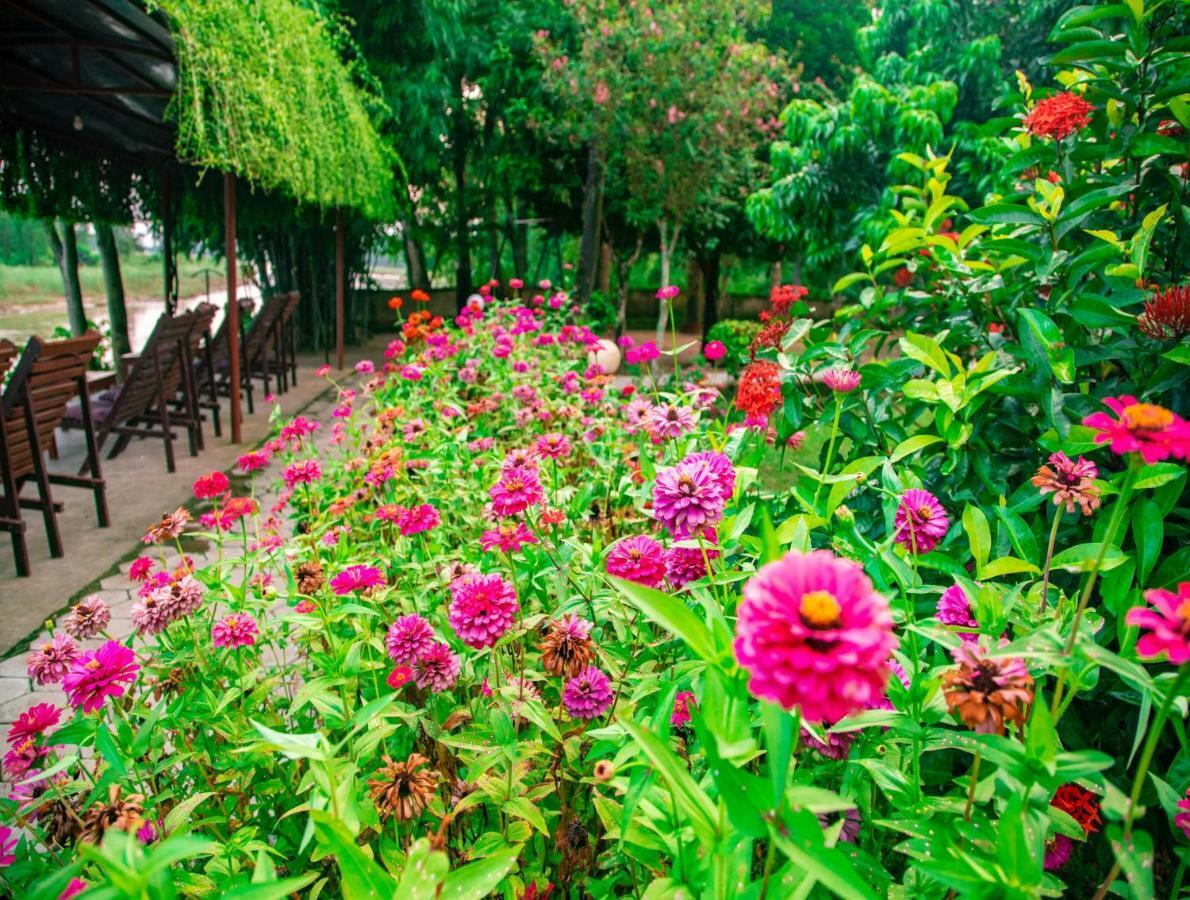 Chitwan Riverside Resort Sauraha Eksteriør billede