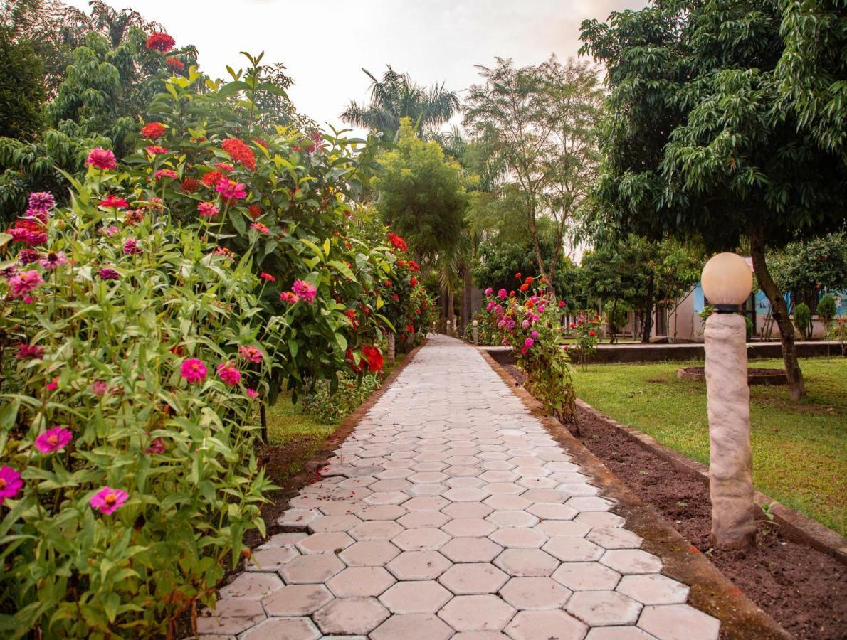 Chitwan Riverside Resort Sauraha Eksteriør billede