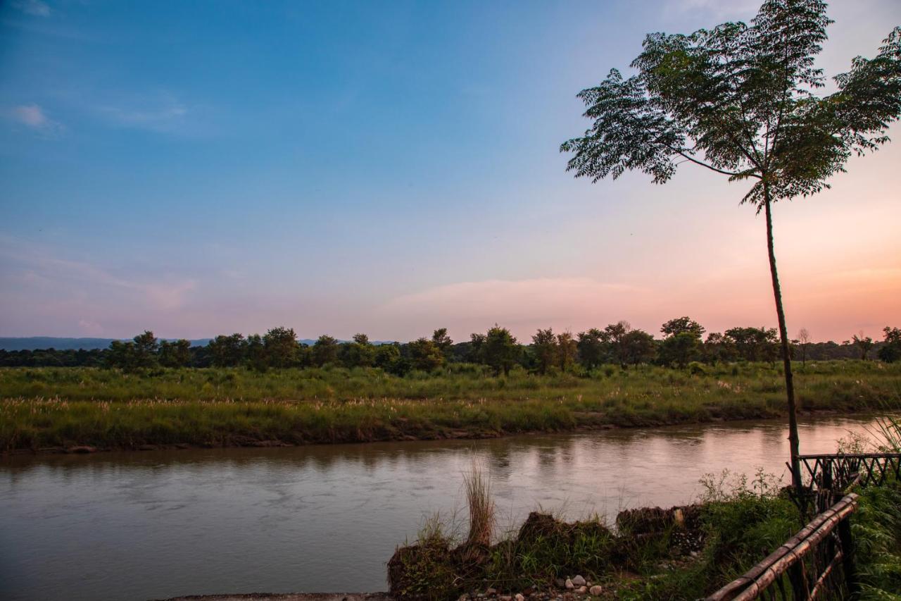 Chitwan Riverside Resort Sauraha Eksteriør billede