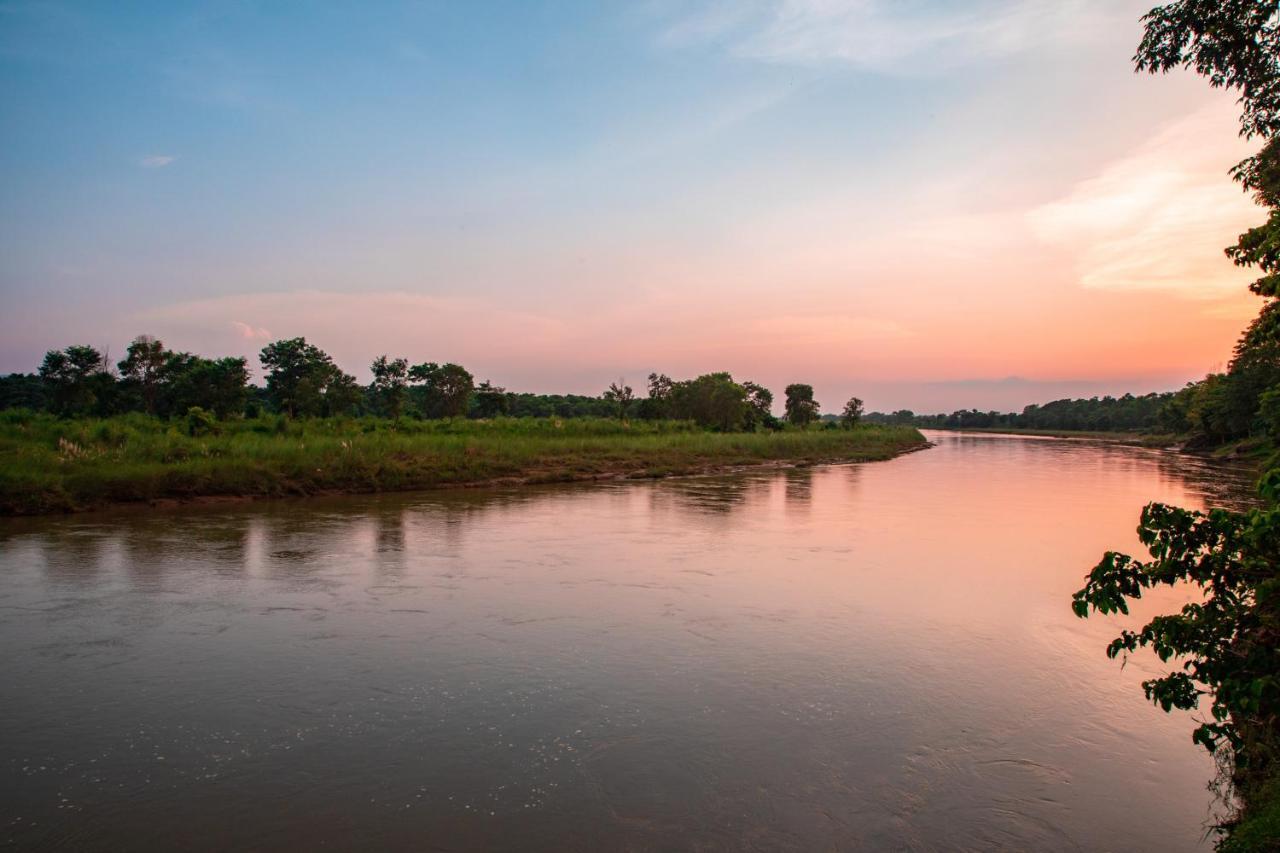 Chitwan Riverside Resort Sauraha Eksteriør billede
